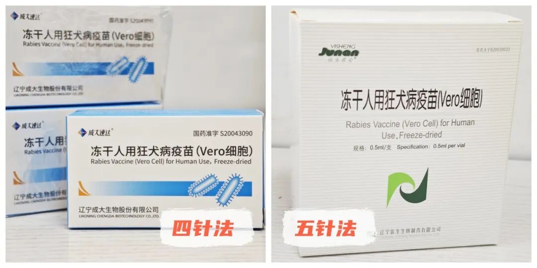 【世界狂犬病日】福德医院-你我共同行动，共筑狂犬病防控防线