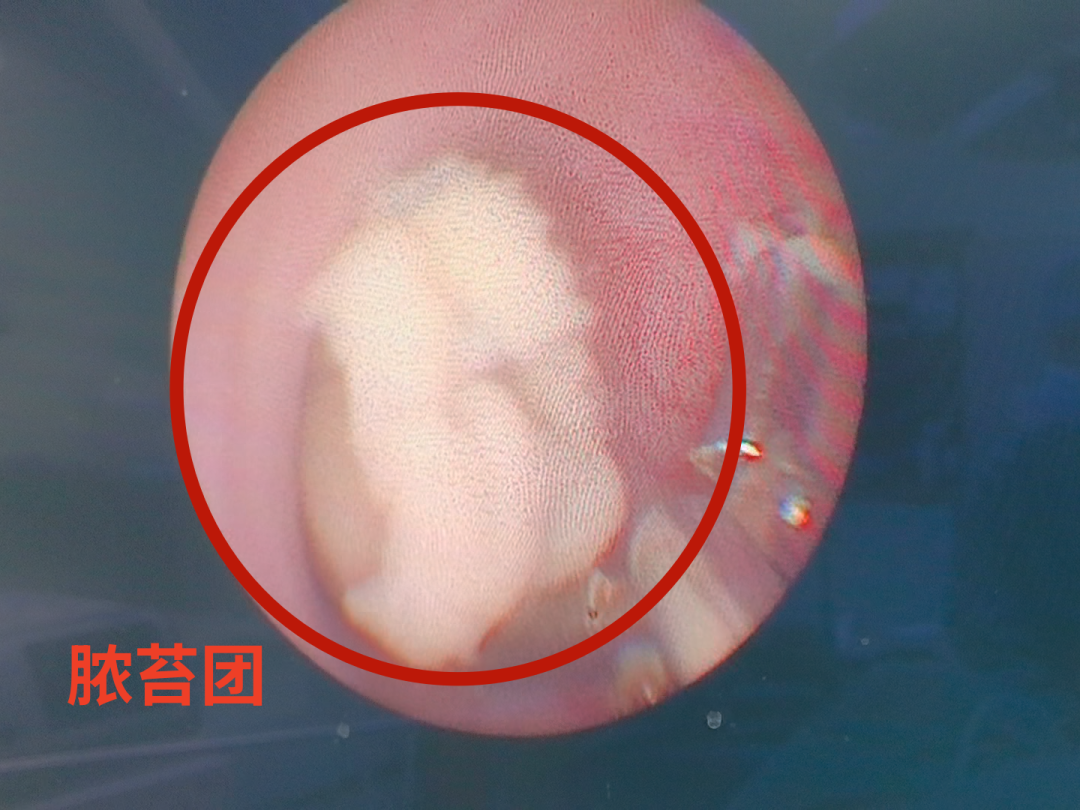 莆田福德医院泌尿肾病科